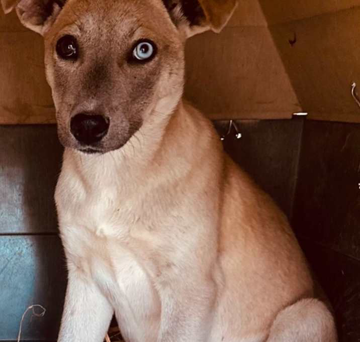 Photo of Crackle