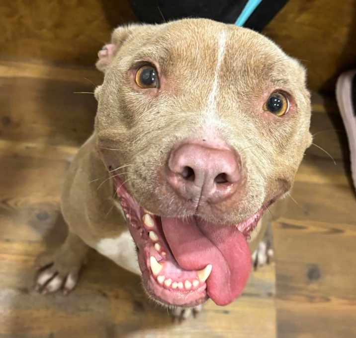 Photo of Ariel *WAIVED FEE