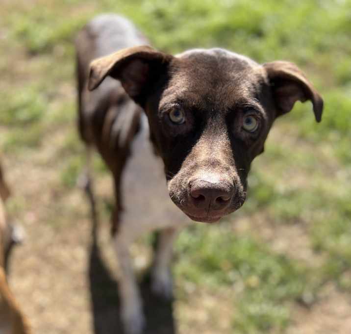 Photo of Blue
