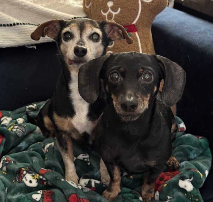 Photo of Lexie and Louie