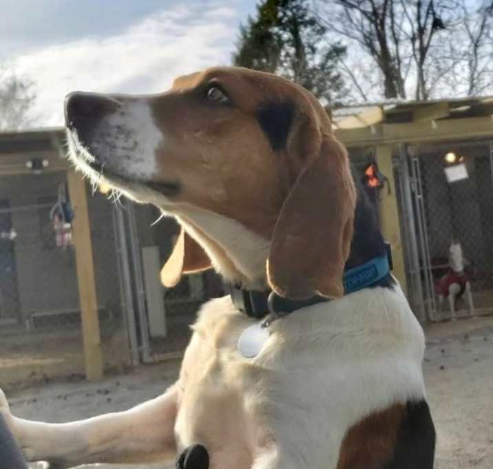 Photo of Murphy