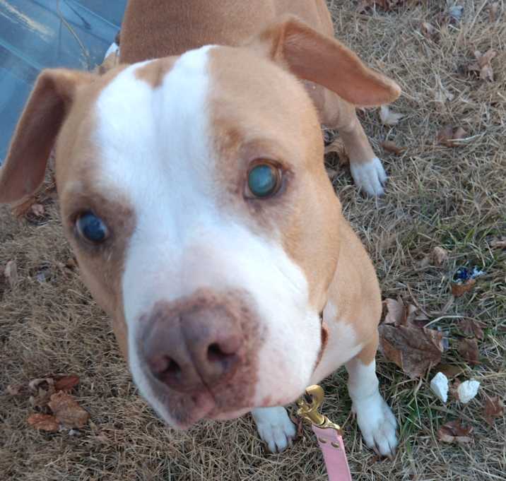 Photo of Wilma (NJ) Very Sweet!