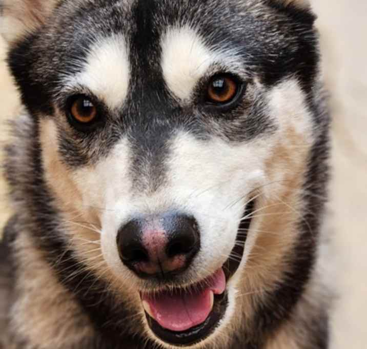 Photo of Maya 1-18-25