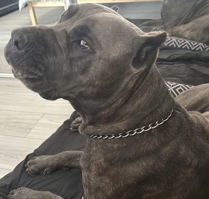 Photo of Zeus