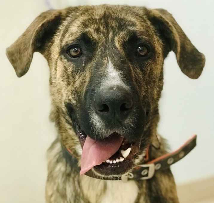 Photo of Jack