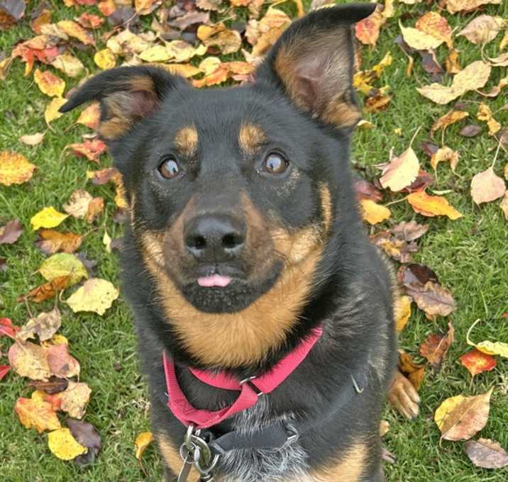 Photo of Angel