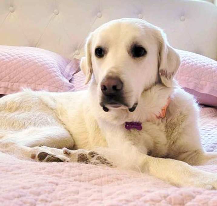 Photo of Sunny