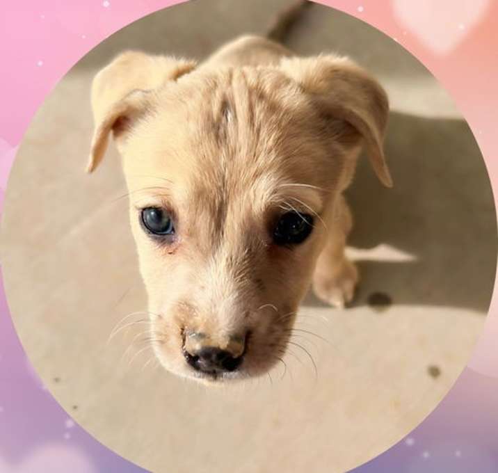 Photo of ANGEL