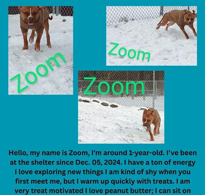 Photo of Zoom