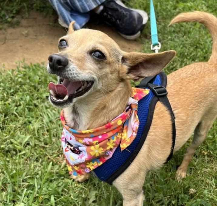 Photo of Atlas - Little Boy, Big Heart!