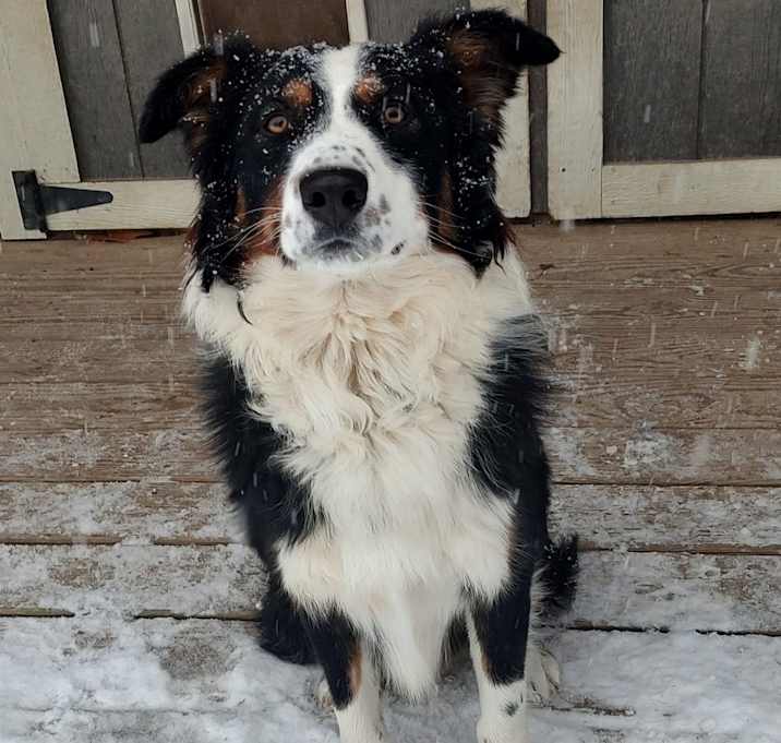 Photo of Benny