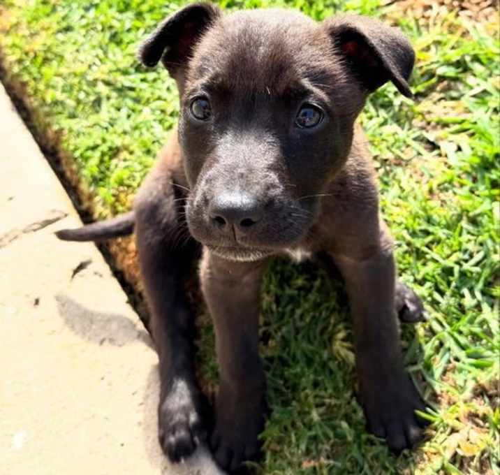 Photo of Frodo