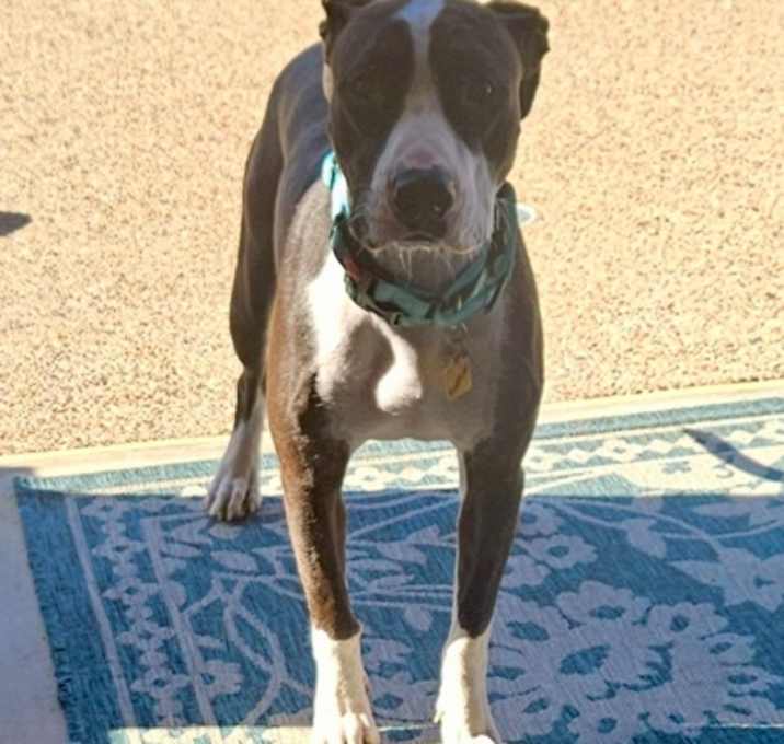 Photo of Tootsie
