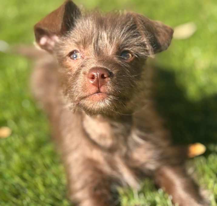 Photo of Charlie