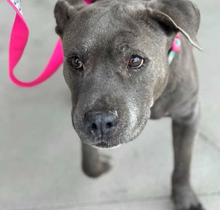 Photo of Mystic