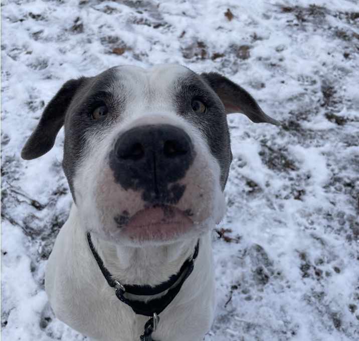 Photo of Hazel