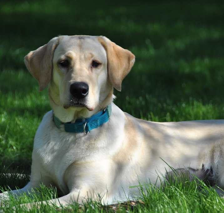 Photo of Allie