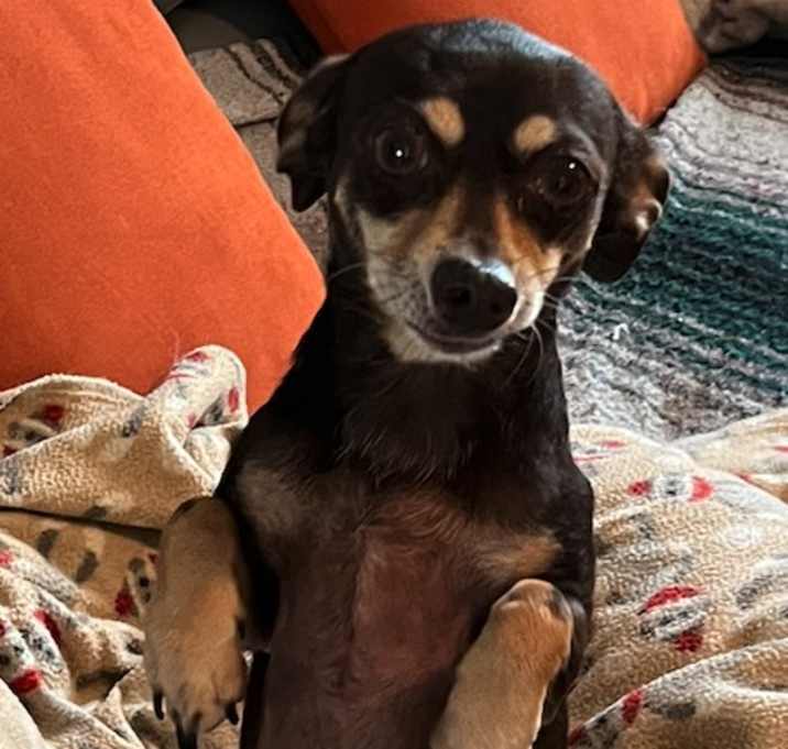 Photo of Peanut Butter