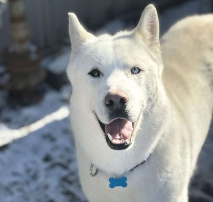 Photo of Ralphie