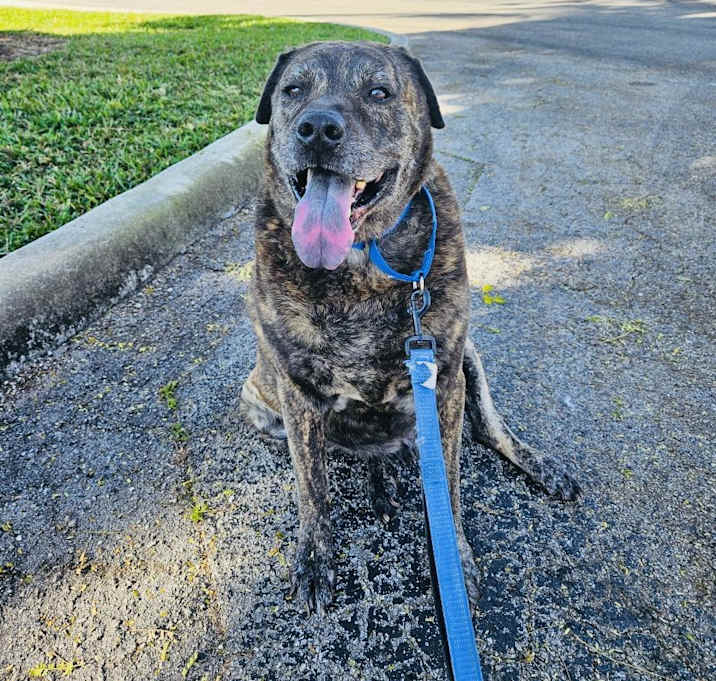 Photo of Chuck