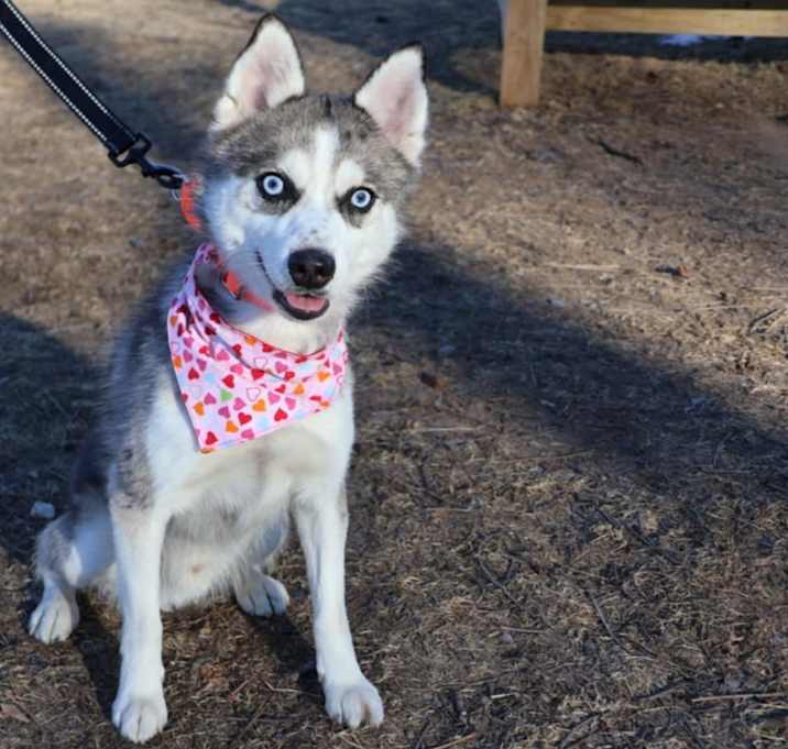Photo of Klaus