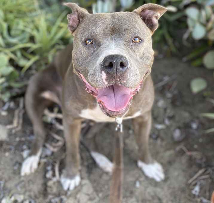 Photo of GIGI