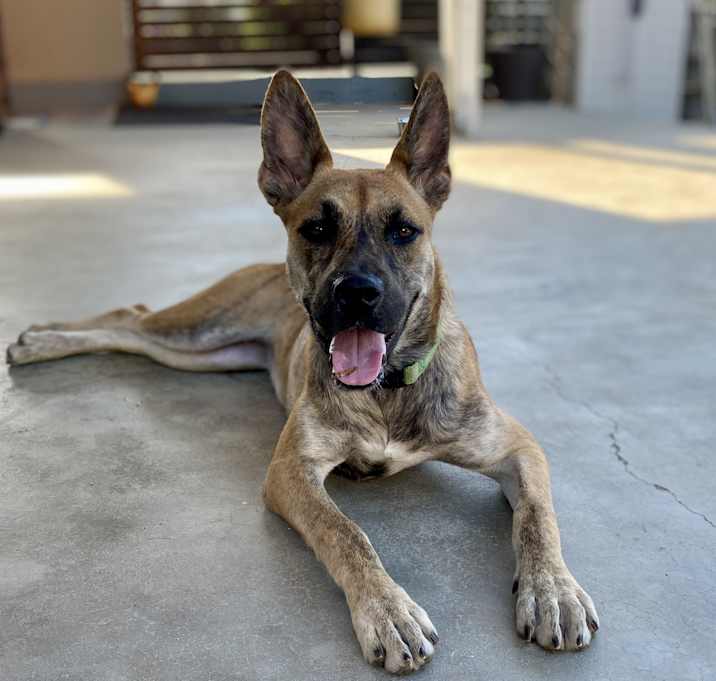 Photo of LUCY BELLE