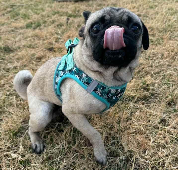 Photo of Cindy LuLu