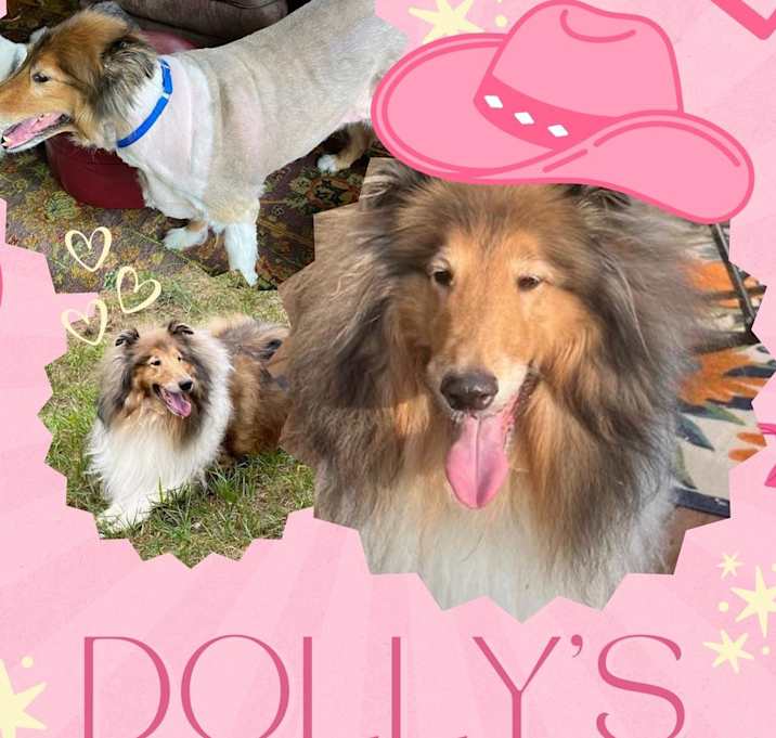 Photo of Dolly