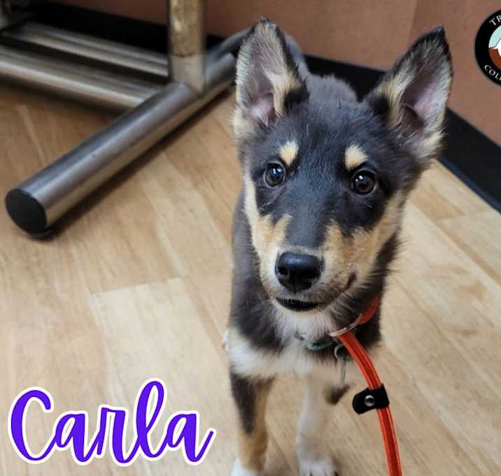 Photo of Carla