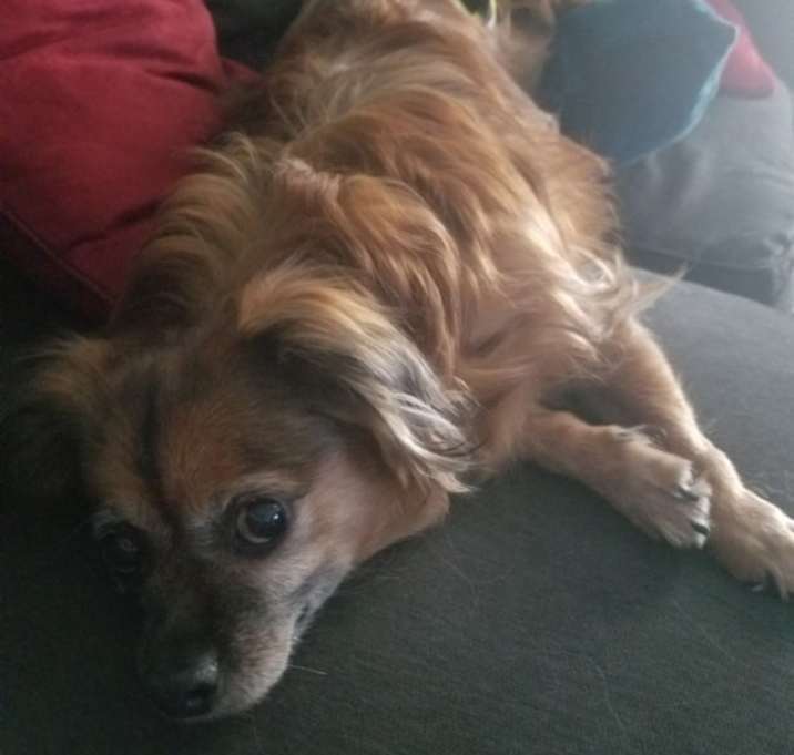 Photo of Ivy