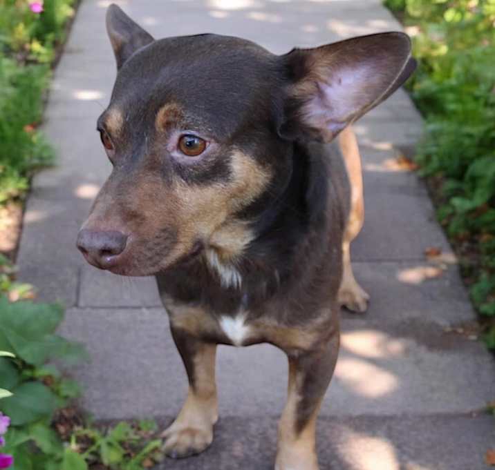 Photo of Otis KA