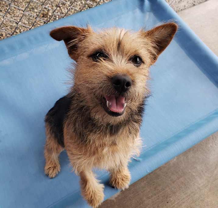 Photo of Roxie