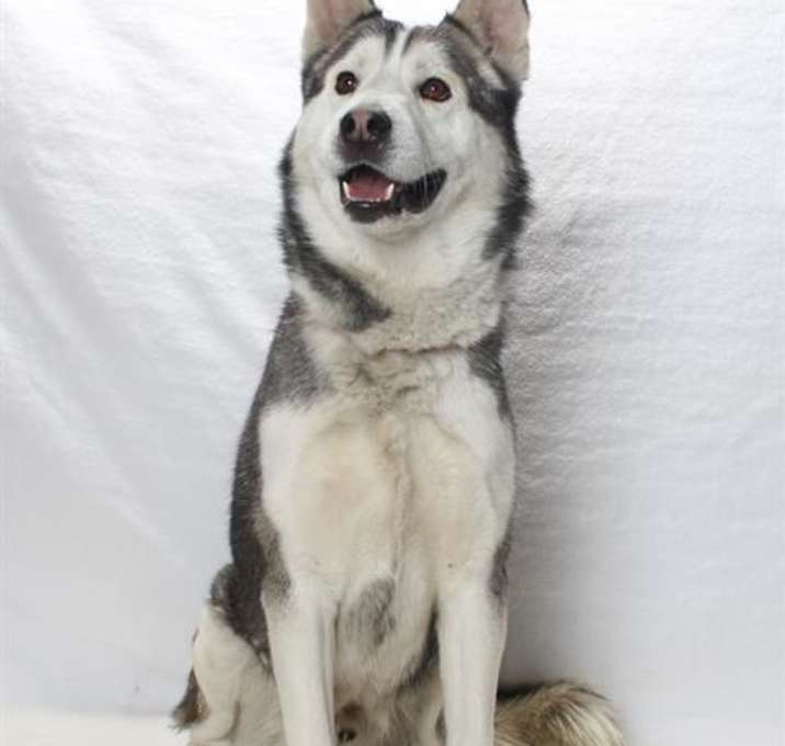 Photo of *KANOOK