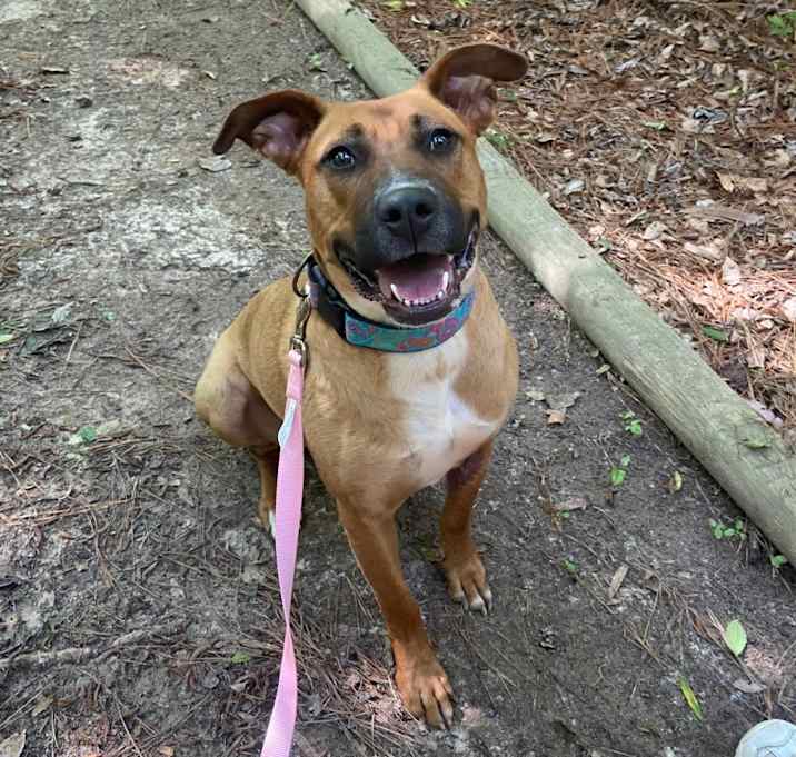 Photo of Kiva