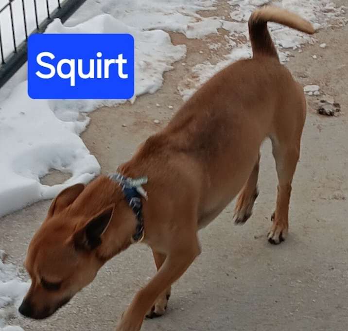 Photo of Squirt
