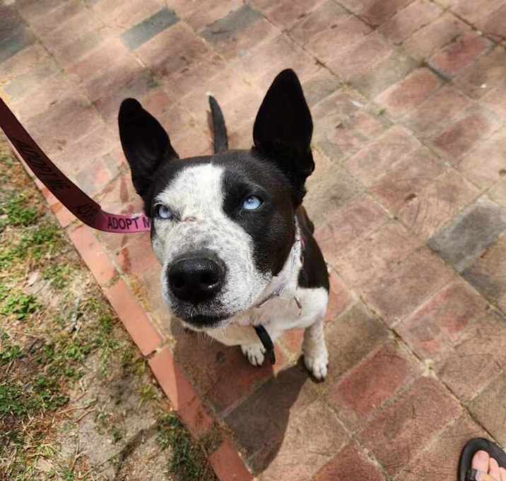 Photo of Sprinkles