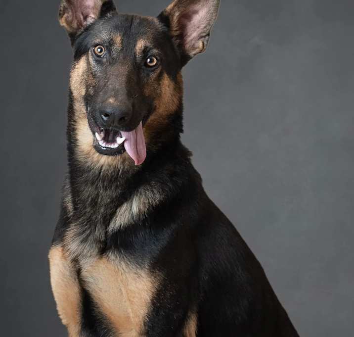Photo of Griswold