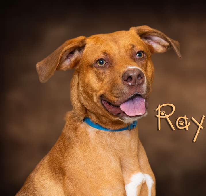 Photo of Rayna