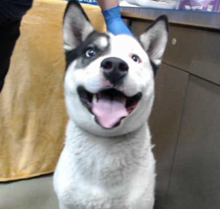 Photo of PATCH