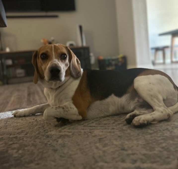 Photo of Bruno
