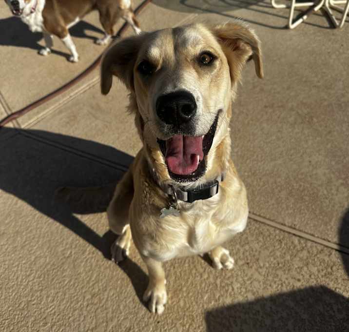 Photo of Ellie