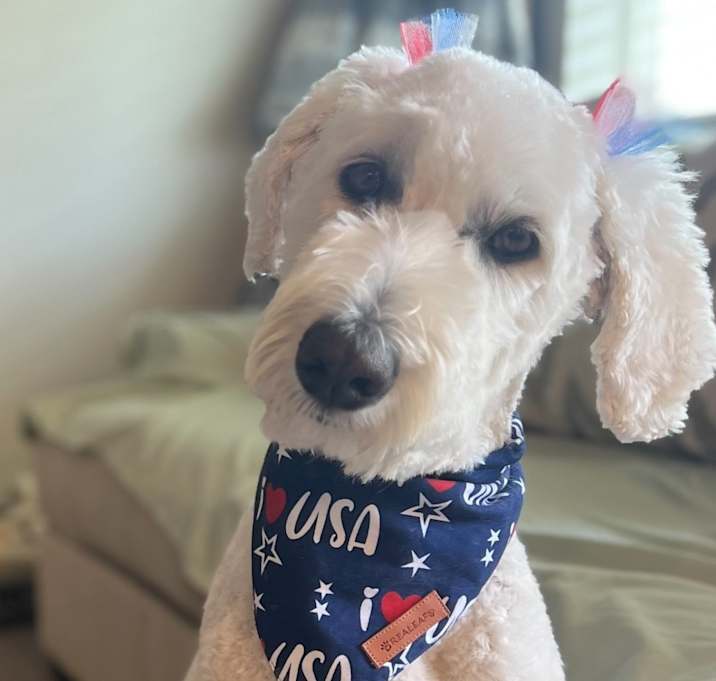 Photo of Roxie