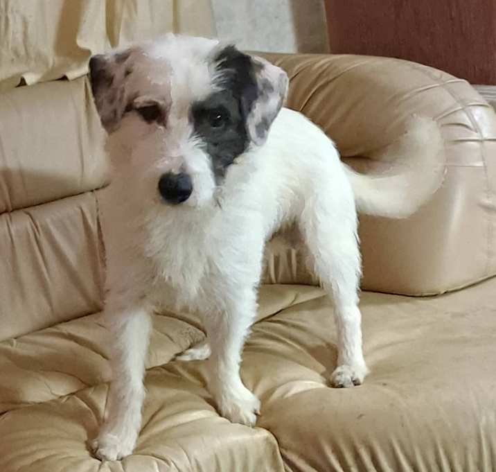 Photo of Silver