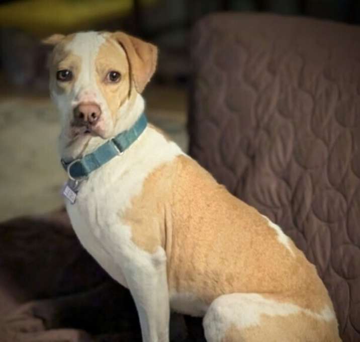 Photo of Kinsley
