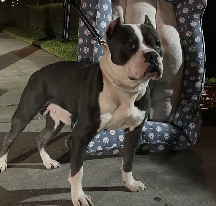Photo of Churro