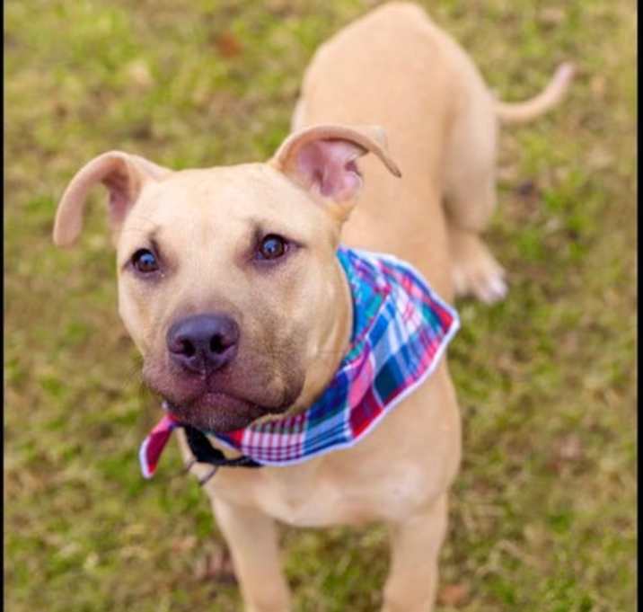 Photo of Rex
