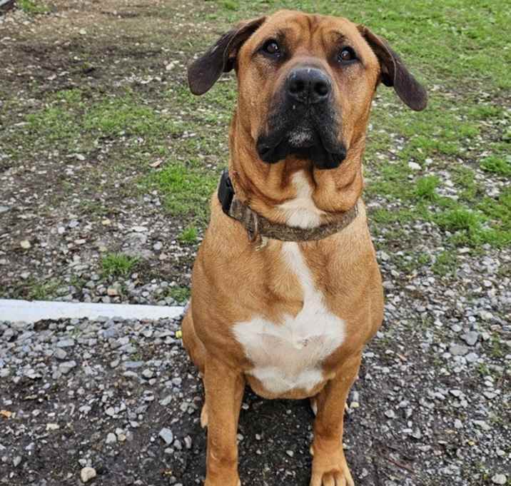 Photo of Zeus