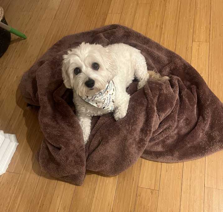 Photo of Chloe