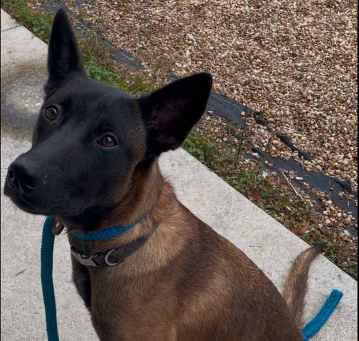 Photo of Daisy Duke - Located in Florida
